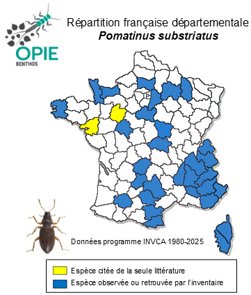 Carte de distribution de Pomatinus substriatus (P. W. J. Müller, 1806)