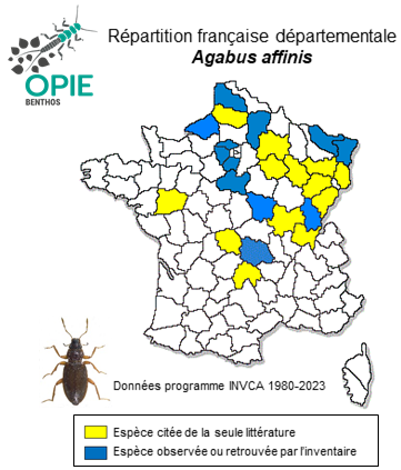 Carte de distribution de Agabus affinis (Paykull, 1798)