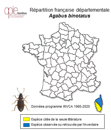 Carte de distribution de Agabus binotatus Aubé, 1837