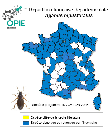 Carte de distribution de Agabus bipustulatus (Linné, 1767)