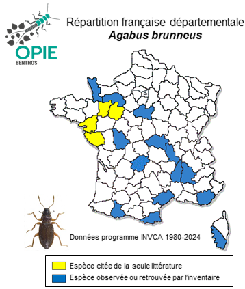 Carte de distribution de Agabus brunneus (Fabricius, 1798)