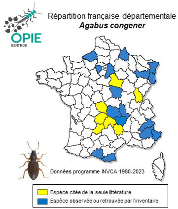 Carte de distribution de Agabus congener (Thunberg, 1794)
