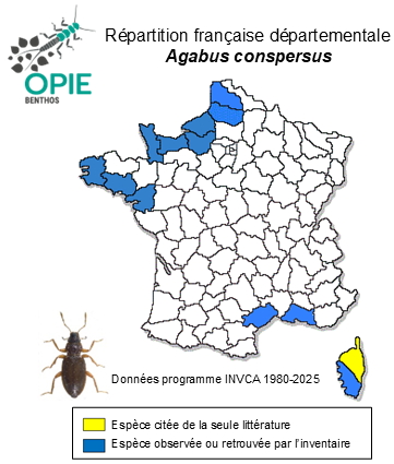 Carte de distribution de Agabus conspersus (Marsham, 1802)