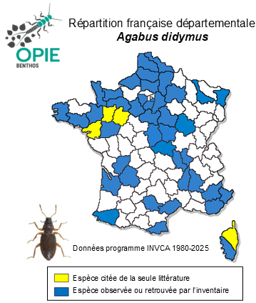Carte de distribution de Agabus didymus (Olivier, 1795)