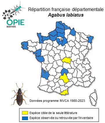 Carte de distribution de Agabus labiatus (Brahm, 1791)