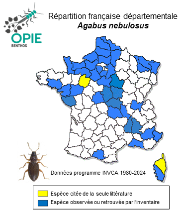 Carte de distribution de Agabus nebulosus (Forster, 1771)