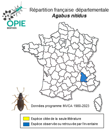 Carte de distribution de Agabus nitidus (Fabricius, 1801)