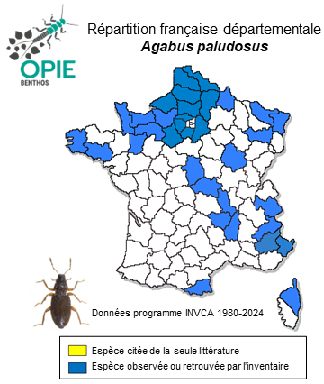 Carte de distribution de Agabus paludosus (Fabricius, 1801)