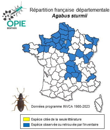 Carte de distribution de Agabus sturmii (Gyllenhal in Schönherr, 1808)