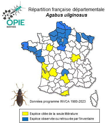 Carte de distribution de Agabus uliginosus (Linnaeus, 1761)