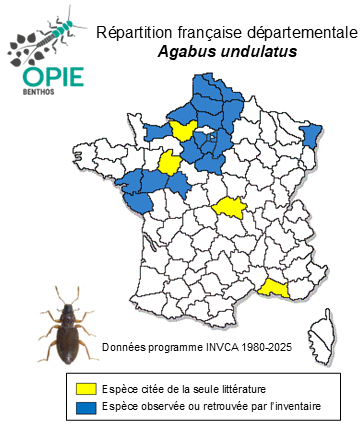 Carte de distribution de Agabus undulatus (Schrank, 1776)