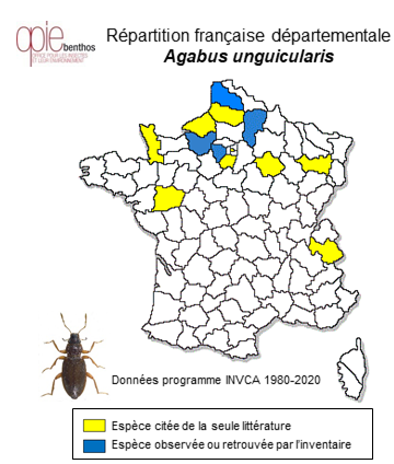 Carte de distribution de Agabus unguicularis