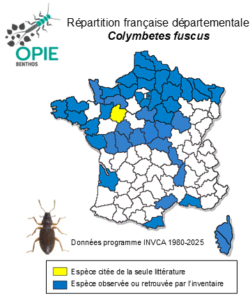 Carte de distribution de Colymbetes fuscus (Linnaeus, 1758)