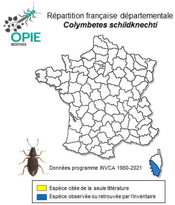 Carte de distribution de Colymbetes schildknechti Dettner, 1983