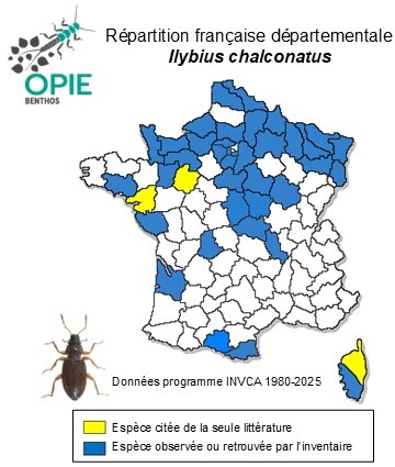 Carte de distribution de Ilybius chalconatus (Panzer, 1797)