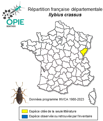 Carte de distribution de Ilybius crassus Thomson, 1856