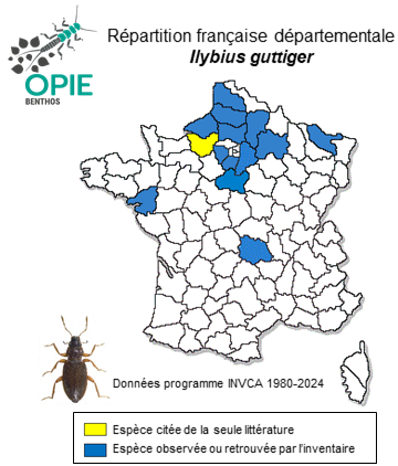 Carte de distribution de Ilybius guttiger (Gyllenhall, 1808)