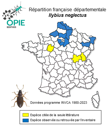 Carte de distribution de Ilybius neglectus (Erichson, 1837)