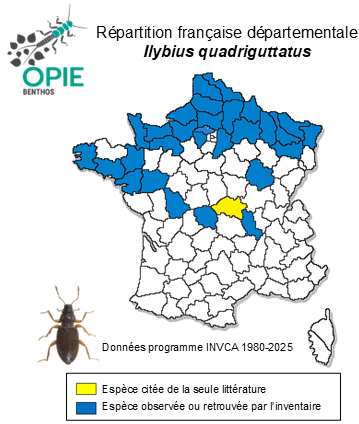 Carte de distribution de Ilybius quadriguttatus (Lacordaire, 1835)