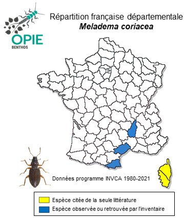 Carte de distribution de Meladema coriacea Laporte de Castelnau, 1835