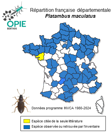 Carte de distribution de Platambus maculatus (Linnaeus, 1758)