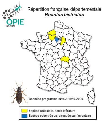 Carte de distribution de Rhantus bistriatus (Bergsträsser, 1778)