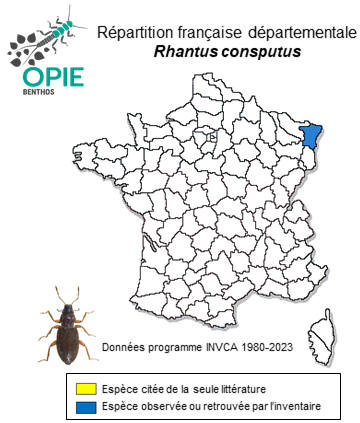 Carte de distribution de Rhantus consputus (Sturm, 1834)