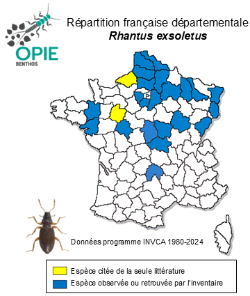 Carte de distribution de Rhantus exsoletus Forster, 1771