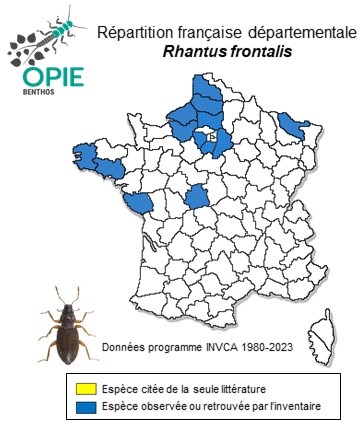 Carte de distribution de Rhantus frontalis Marsham, 1802