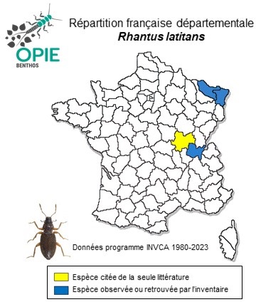 Carte de distribution de Rhantus latitans Sharp, 1882