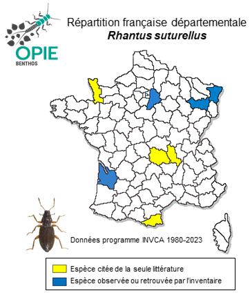 Carte de distribution de Rhantus suturellus (Harris, 1828)