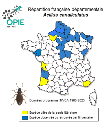 Carte de distribution de Acilius canaliculatus (Nicolaï, 1822)
