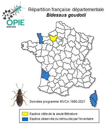 Carte de distribution de Bidessus goudotii (Laporte de Castelnau, 1835)