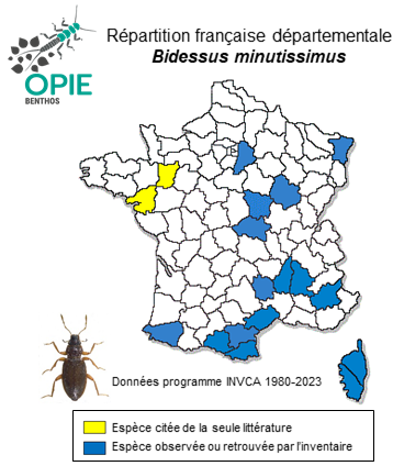 Carte de distribution de Bidessus minutissimus (Germar, 1824)