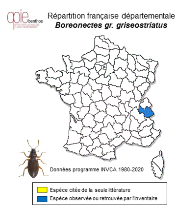 Carte de distribution de Boreonectes giseostriatus griseostriatus (De Geer, 1774)