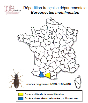 Carte de distribution de Boreonectes multilineatus (Falkenström, 1922)