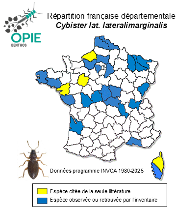 Carte de distribution de Cybister lateralimarginalis lateralimarginalis (De Geer, 1774)