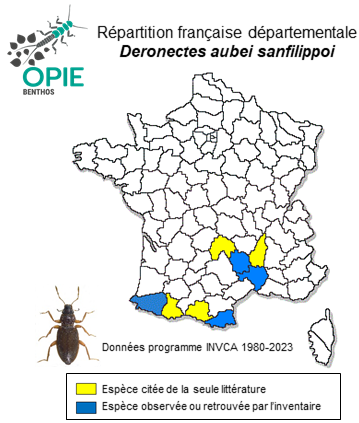 Carte de distribution de Deronectes aubei sanfilippoi Fery & Brancucci, 1997
