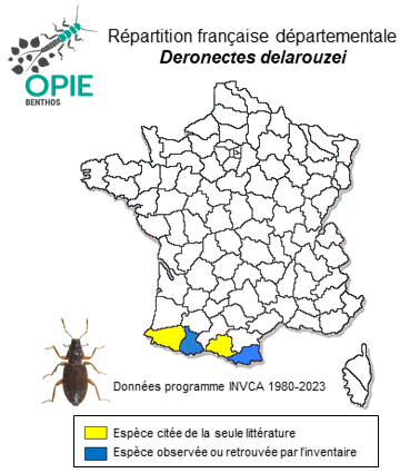 Carte de distribution de Deronectes delarouzeri Jacquelin du Val, 1857