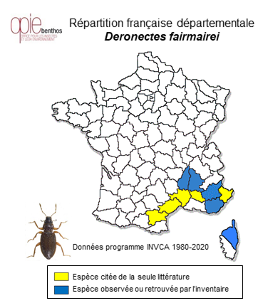 Carte de distribution de Deronectes fairmairei (Leprieur, 1876)