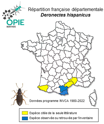 Carte de distribution de Deronectes hispanicus (Rosenhauer, 1856)