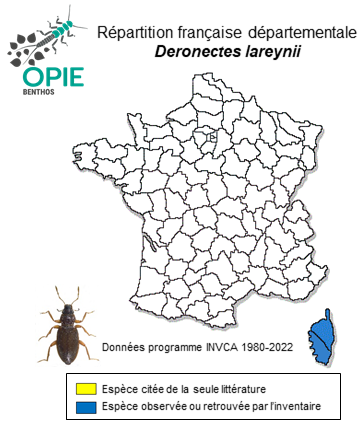 Carte de distribution de Deronectes lareynii Fairmaire, 1858