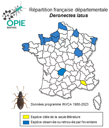 Carte de distribution de Deronectes latus (Stephens, 1829)