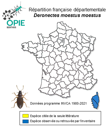 Carte de distribution de Deronectes moestus moestus (Fairmaire, 1858)