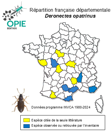 Carte de distribution de Deronectes opatrinus (Germar, 1824)