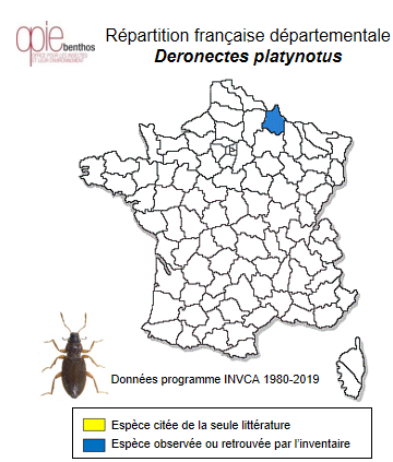 Carte de distribution de Deronectes platynotus (Germar, 1834)