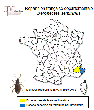 Carte de distribution de Deronectes semirufus (Germar, 1845)