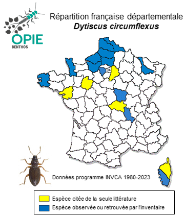 Carte de distribution de Dytiscus circumflexus Fabricius, 1801