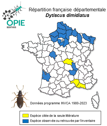 Carte de distribution de Dytiscus dimidiatus Bergsträsser, 1778