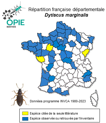 Carte de distribution de Dytiscus marginalis Linnaeus, 1758